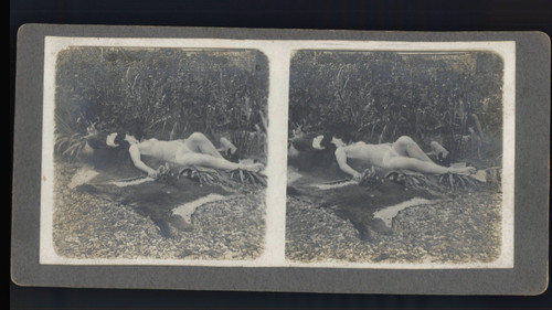 Femme nue allongée dans - , un