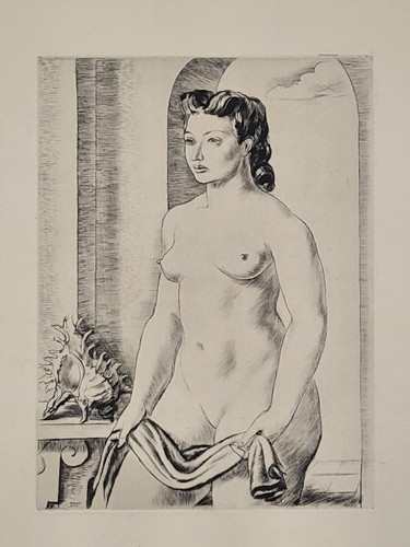 Robert cami nu - cami,