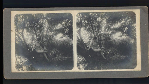 Femme nue forêt vintage - en, forêt,