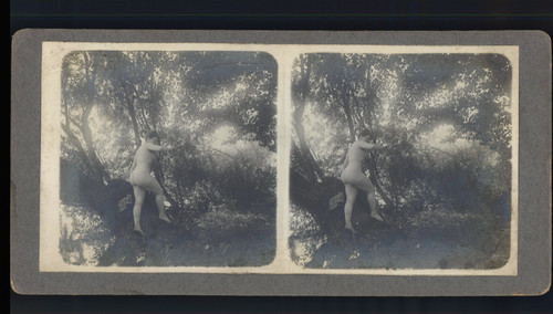 Femme nue forêt - nue, vintage